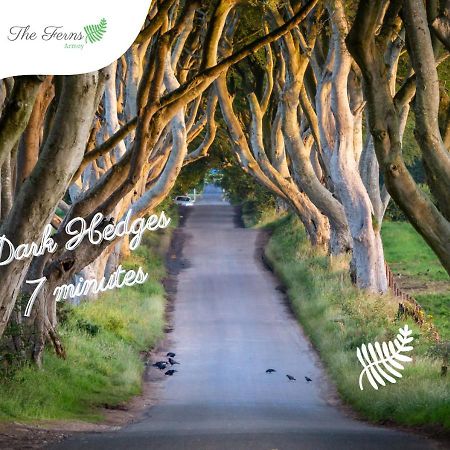 The Ferns-Ideal Base For Exploring The Causeway Coast Armoy Exterior foto