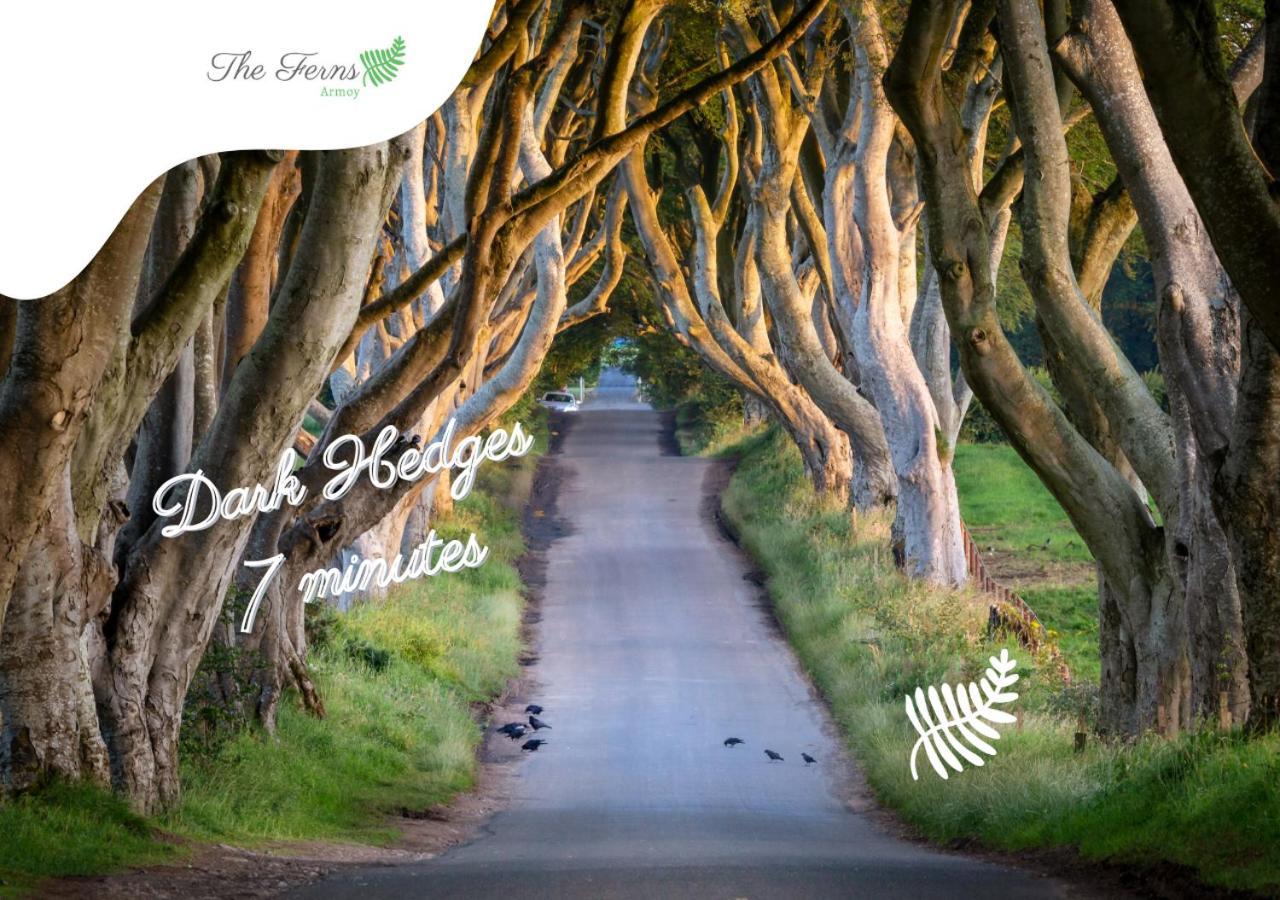 The Ferns-Ideal Base For Exploring The Causeway Coast Armoy Exterior foto